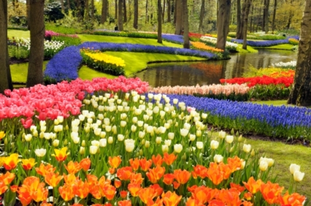 flower garden