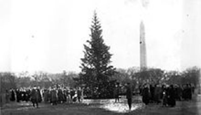 First Christmas Tree