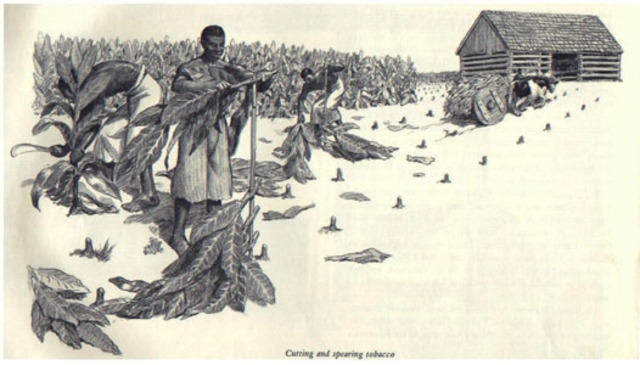 Pennslyvannia Legalizes slavery