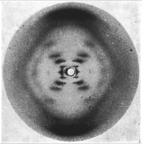 Maurice Willkins/Rosalind Franklin