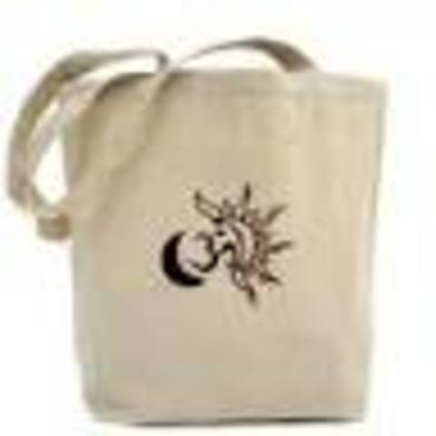 Liam and Florida ride in Limo