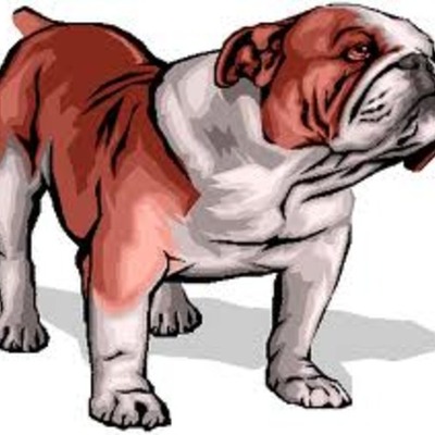 Timeline: CHS 2020 Blueprint