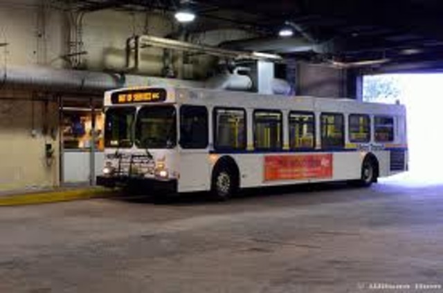 A city deciced to only run buses on fish-oil based biodiesel