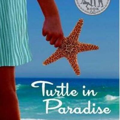 Timeline: Turtle in Paradise