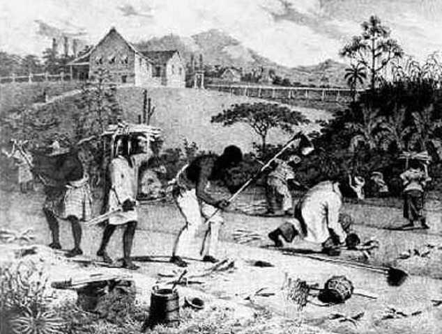 Sethe Joins Sweet Home