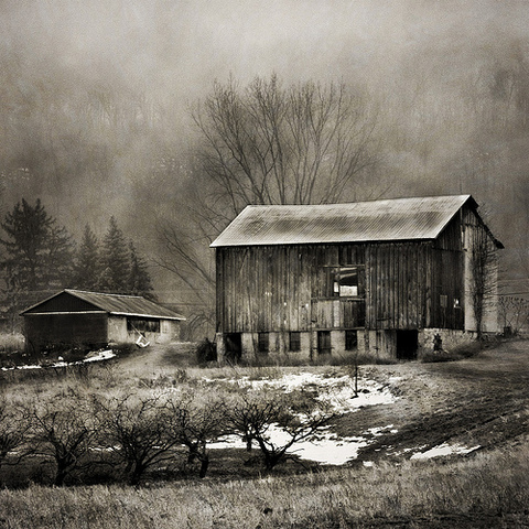 Agricultural Wave, Business and Work