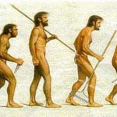 Timeline: La Evolucion del Hombre