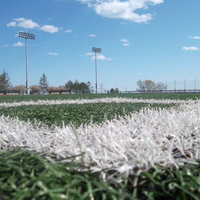 Timeline: A Day in the Life of Lakeside Field