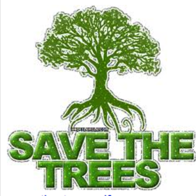 Timeline: Timber by Jaedyn