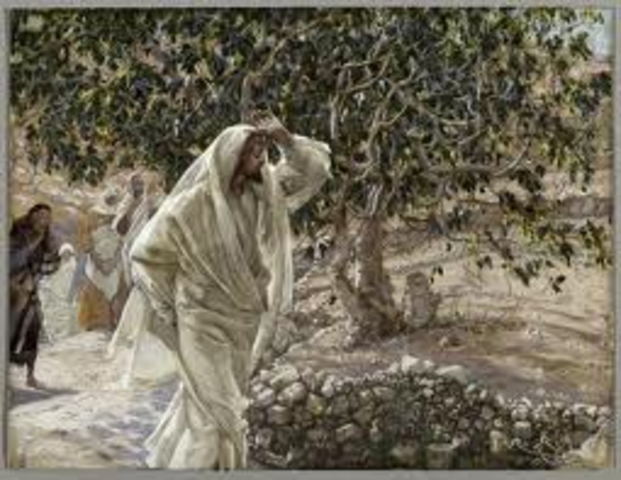 Jesus Curses the Fig Tree