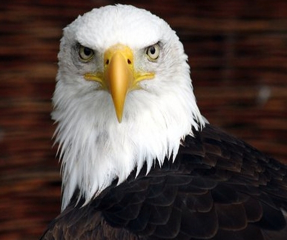 Endangered Species Act of 1973