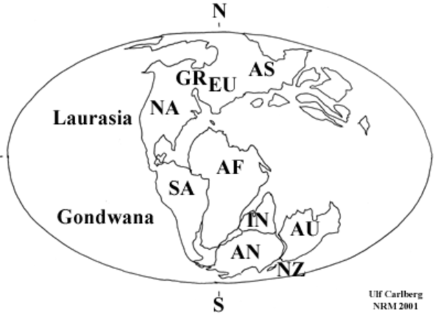 Gondwana och Laurasien bildades för 180 miljoner år sedan