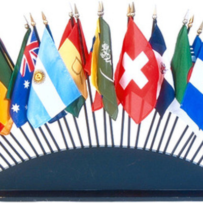 Timeline: Sophie Lee - International Organizations Timeline