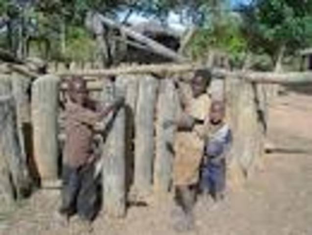 World Trade Organizations: Helping Underdeveloped Countries