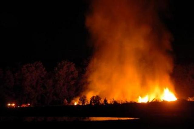 Garamba National Park Destroyed by LRA