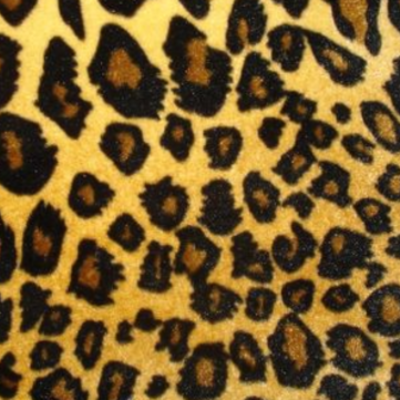 Timeline: 1970-1979 Timeline