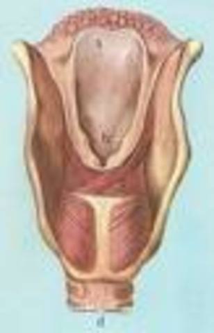 Doug Hansen had a frozen larynx