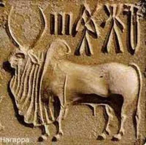 Climate change began to affect Indus Valley Civilizations