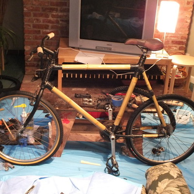 Timeline: Bamboo Bike