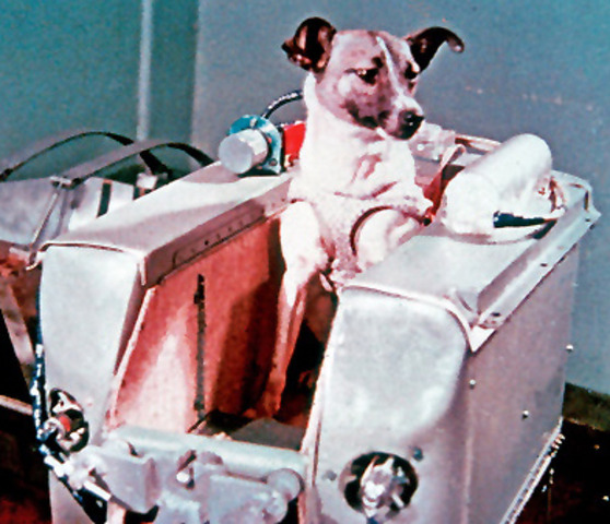 Sputnik II was launched