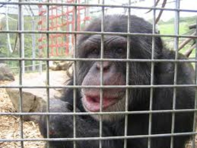 Confict/Turning Point - Bye Bye Zan