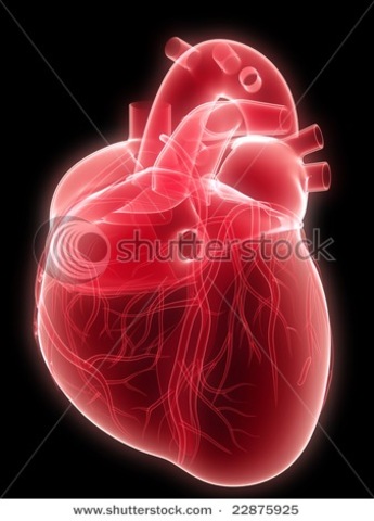 1st Heart transplant