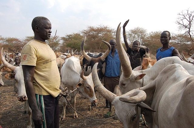 Exposition 1: Background - Salva