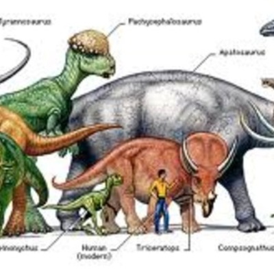 Timeline: Dinosaur time line by Kawai tristie gumilang xiang er