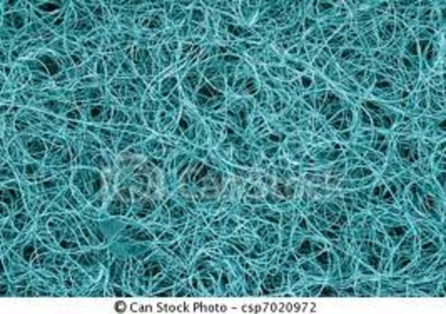 Invention of the first synthetic plastic