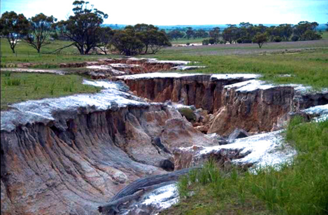 The Middle Ages 1000 - 1600's