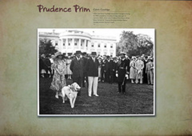 Politics, Industrial Era