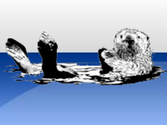 5th Grade Sutherland Elementary