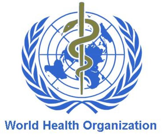 World Health Organization Created by UN
