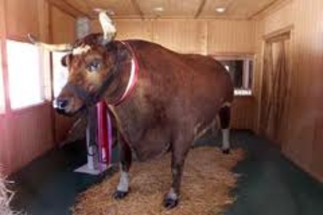 Jackie Sanders Miracle Mile