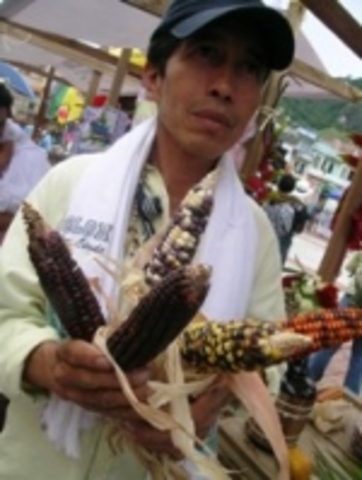 REVOLUCION INDUSTRIAL  Y LA AGRICULTURA