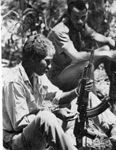 126. Carnation Revolution