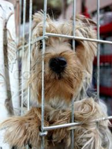 Falling Action 4: Bone