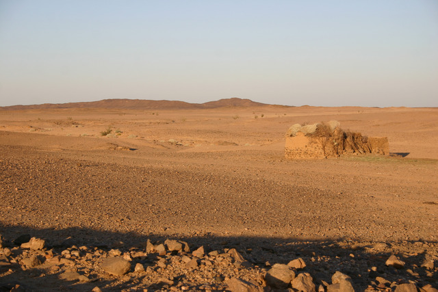 Rising Action 8 - Salva