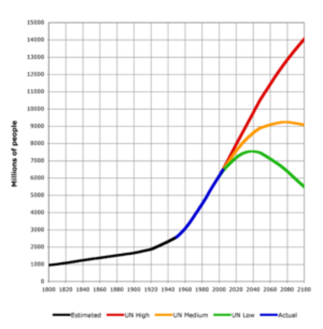 world population