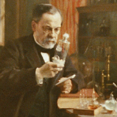 Timeline: Louis Pasteurs Life