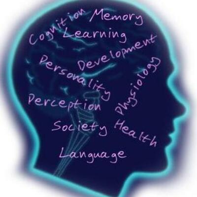 Timeline: Evolucion y Origen