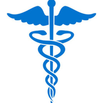 Timeline: Origen y Evolucion