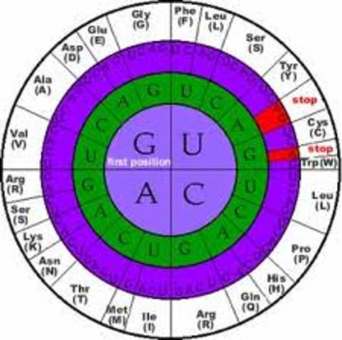 Discovery of the Genetic Code
