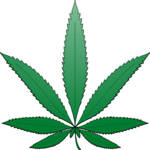 Supreme Court Case #11: N.J. v. T.L.O