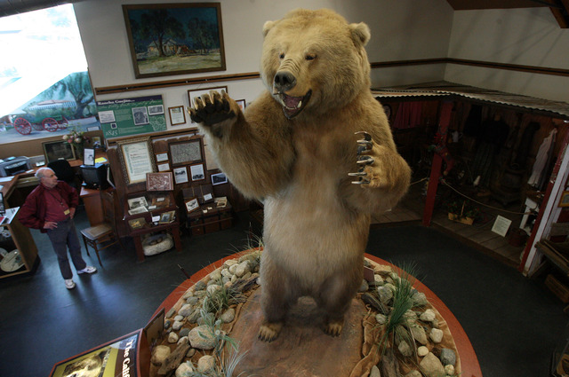 Largest California Grizzly Bear killed in Valley Center; area becomes known as Bear Valley