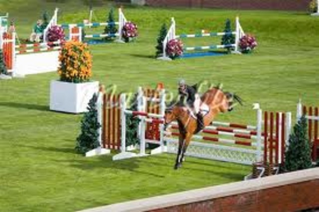 Bird and Sundancer are going to the Rockhill show