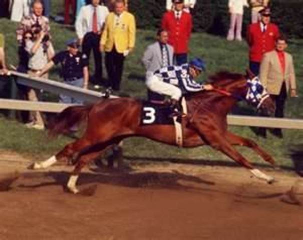 Secretariat wins the Belmont Stakes for the triple crown