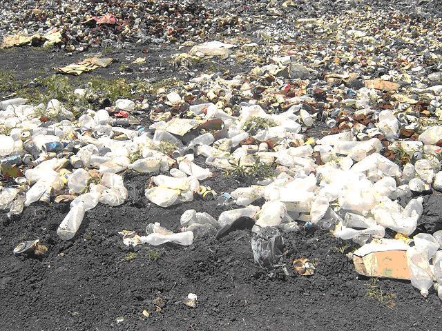 The Urban Waste Water Directive 91/271/EEC was created