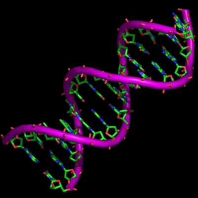 Timeline: Principales descubrimientos del ADN
