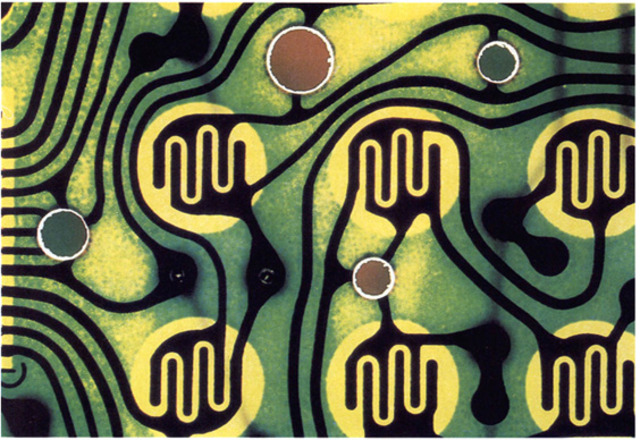 El nacimiento de la Cibernética